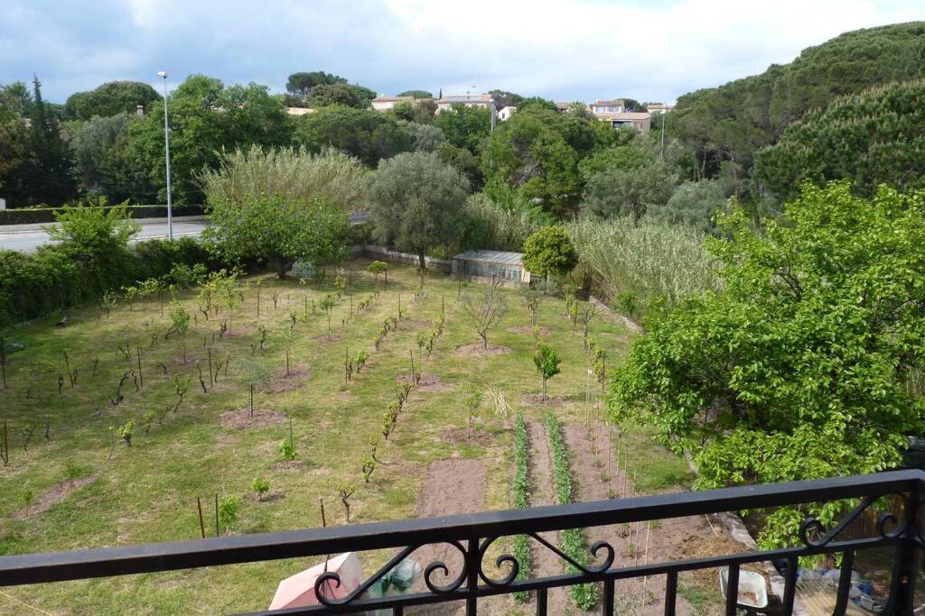 Appartement indépendant dans villa, entre Fréjus et StRaphaël Esterno foto