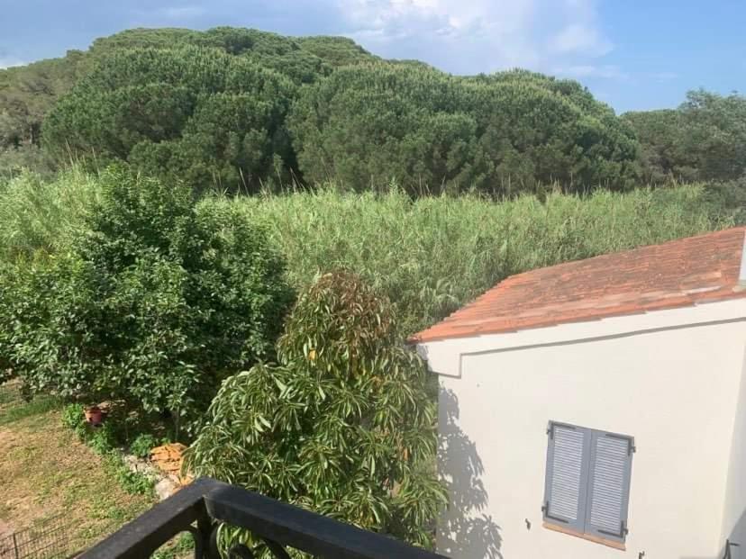 Appartement indépendant dans villa, entre Fréjus et StRaphaël Esterno foto
