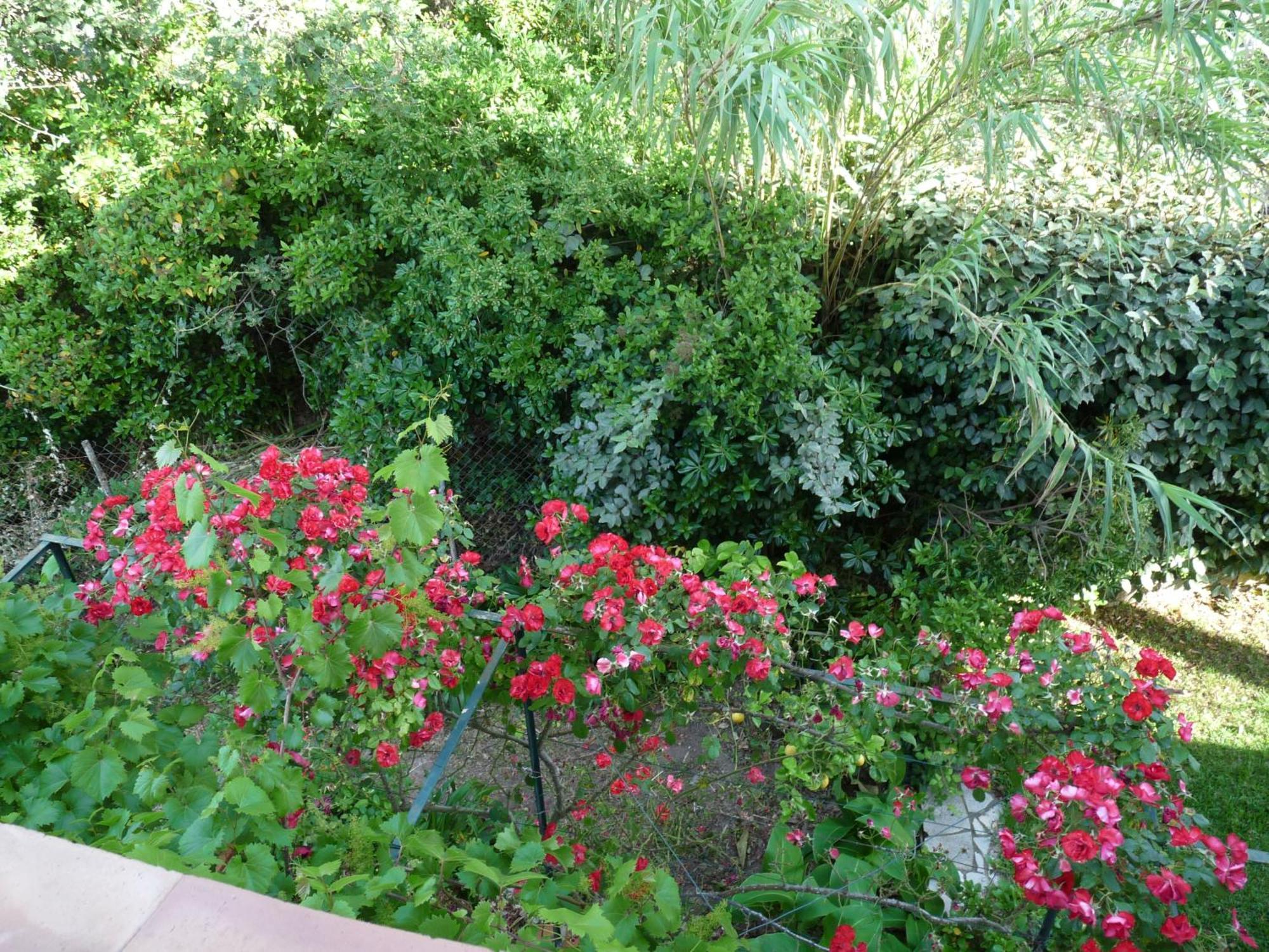 Appartement indépendant dans villa, entre Fréjus et StRaphaël Esterno foto